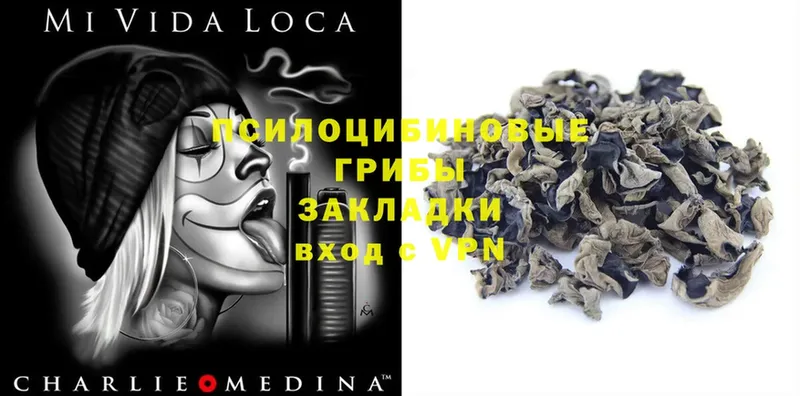 Галлюциногенные грибы Magic Shrooms  купить наркотик  Инсар 